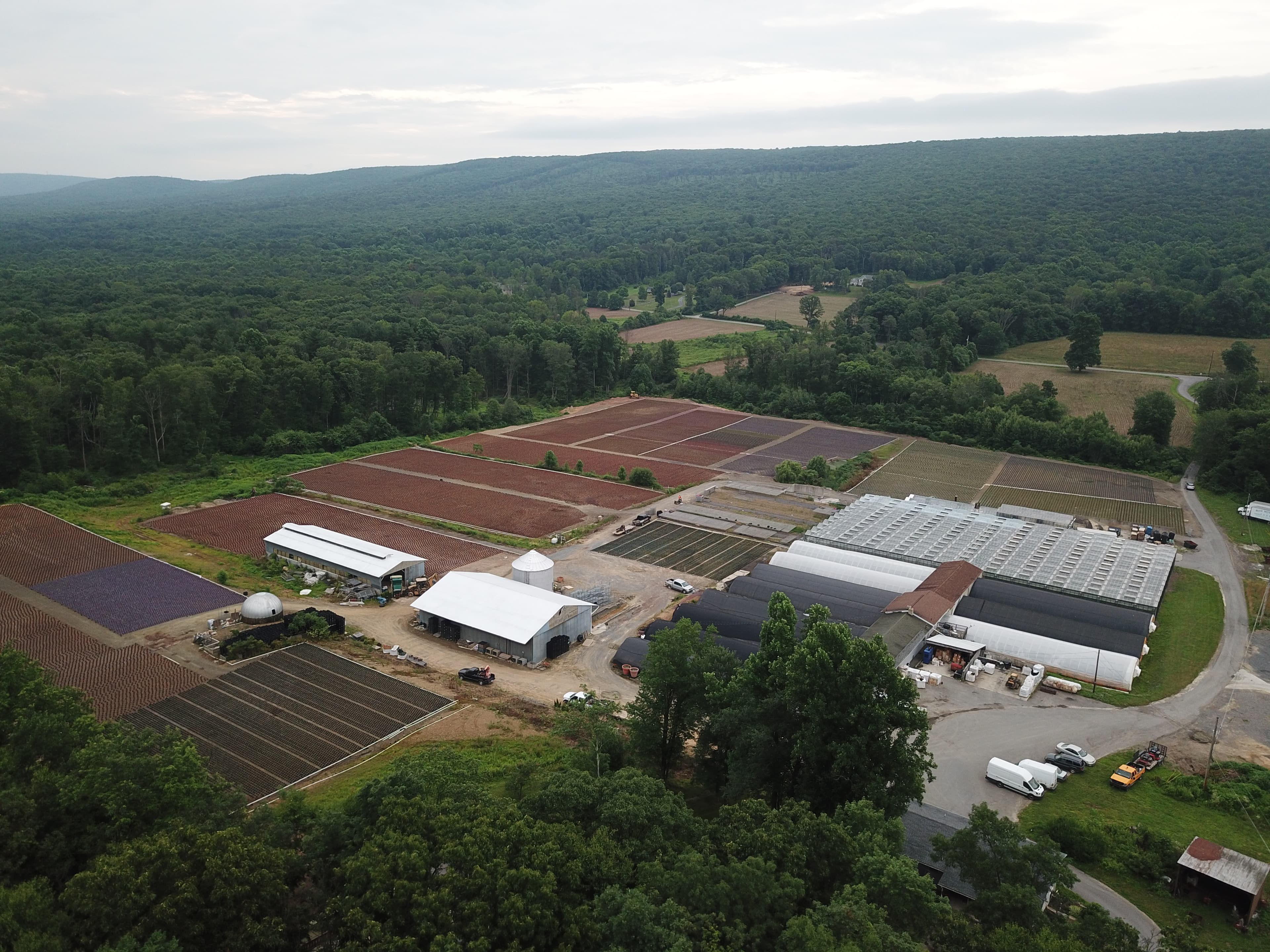 The greenhouses at the foot of the Blue Mountain