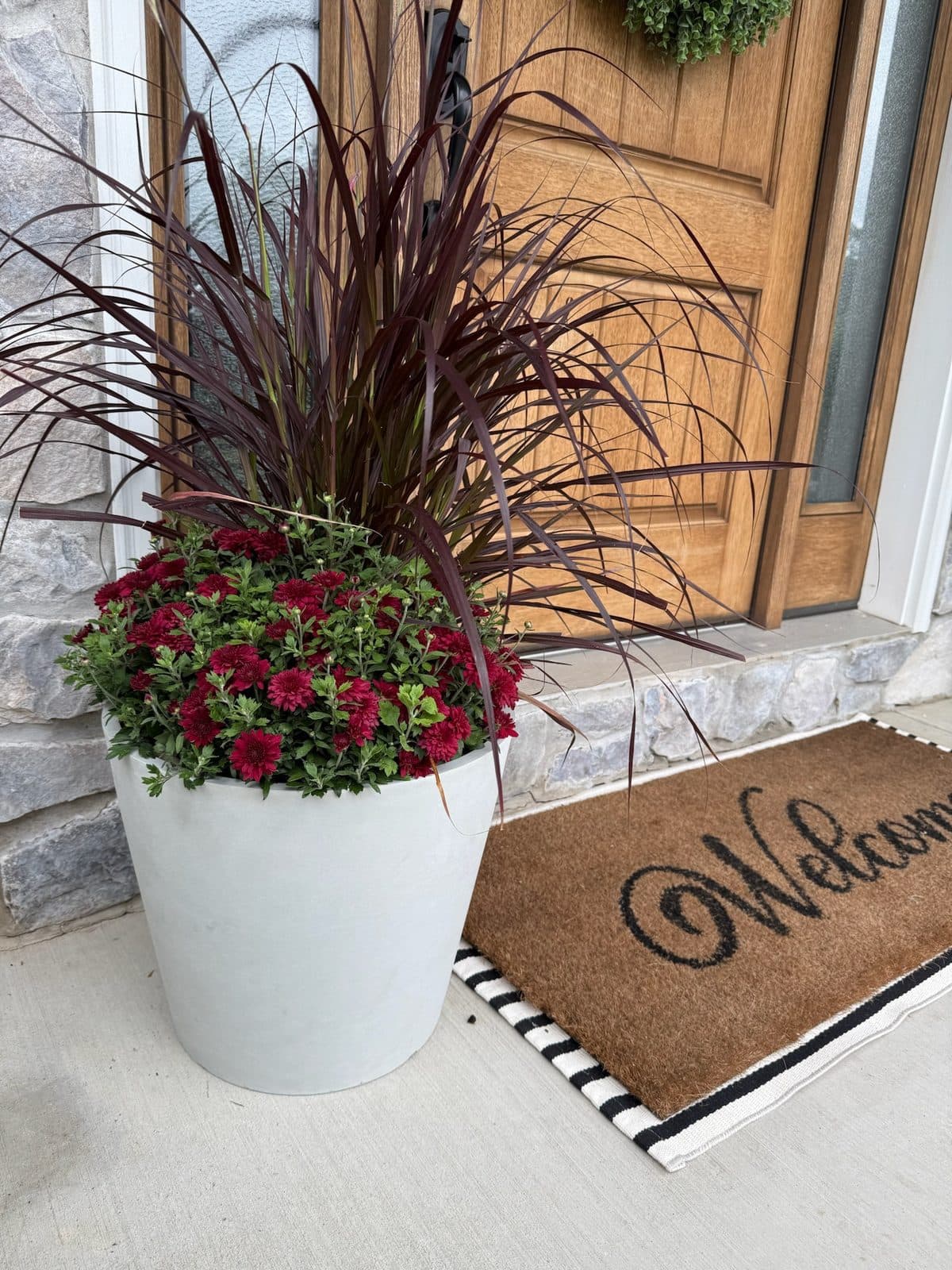 Burgundy garden mum planter with purple ornamental grass on a porch
