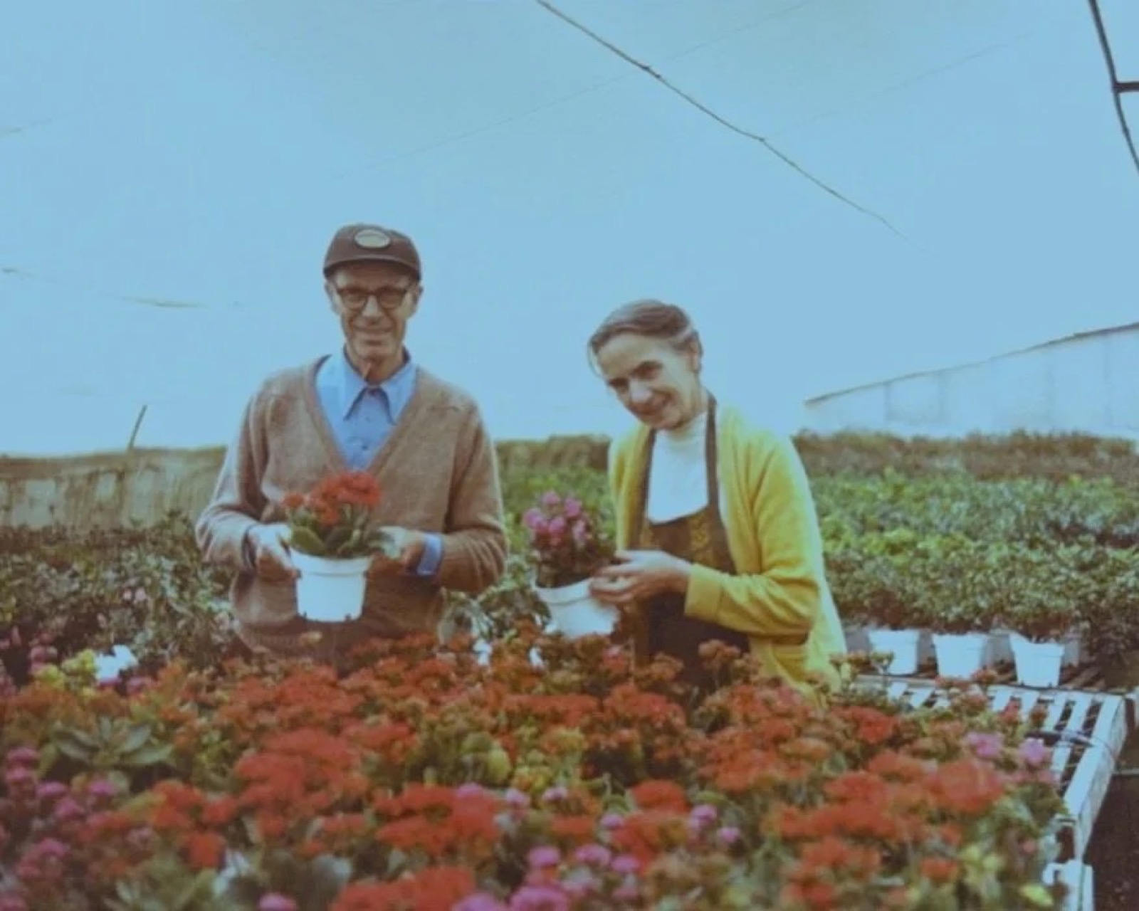 Chris and Margrit Dornbierer in the greenhouse